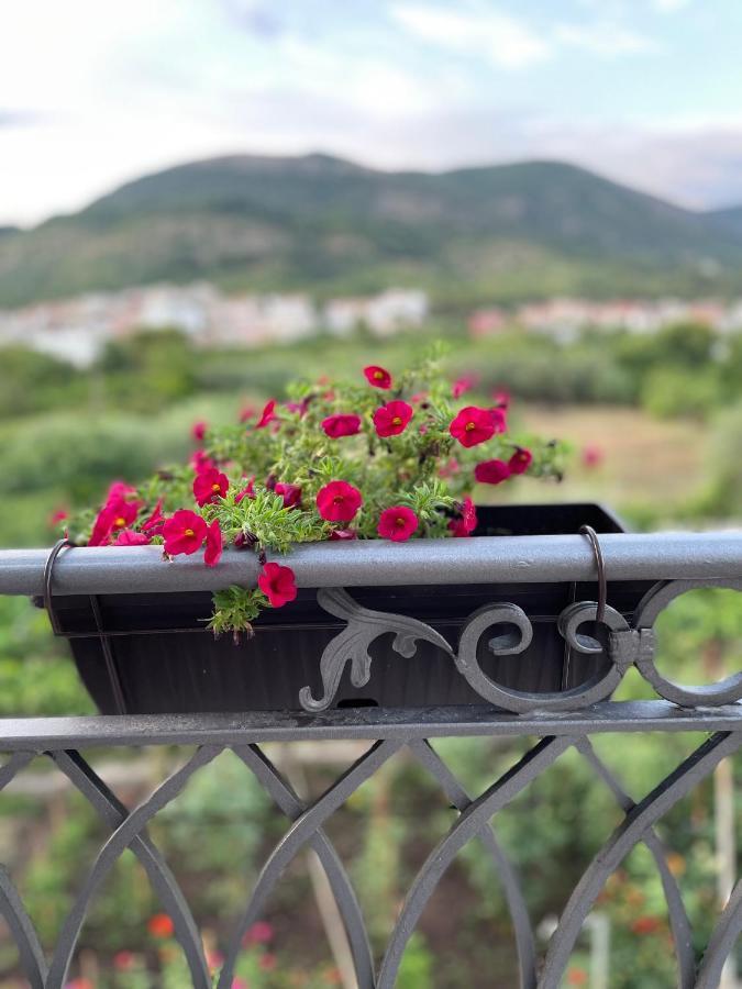 Petivat Gardens Appartement Buitenkant foto