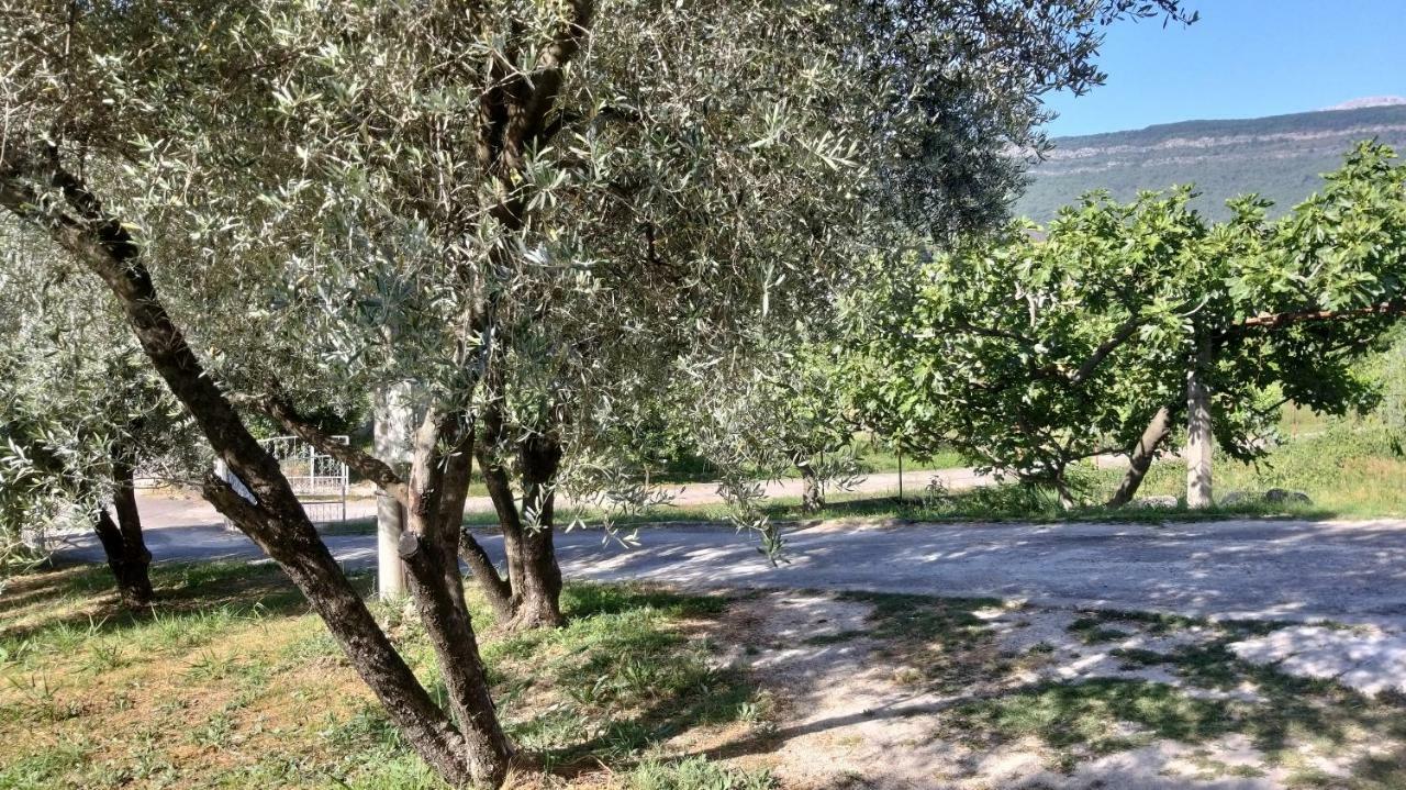 Petivat Gardens Appartement Buitenkant foto