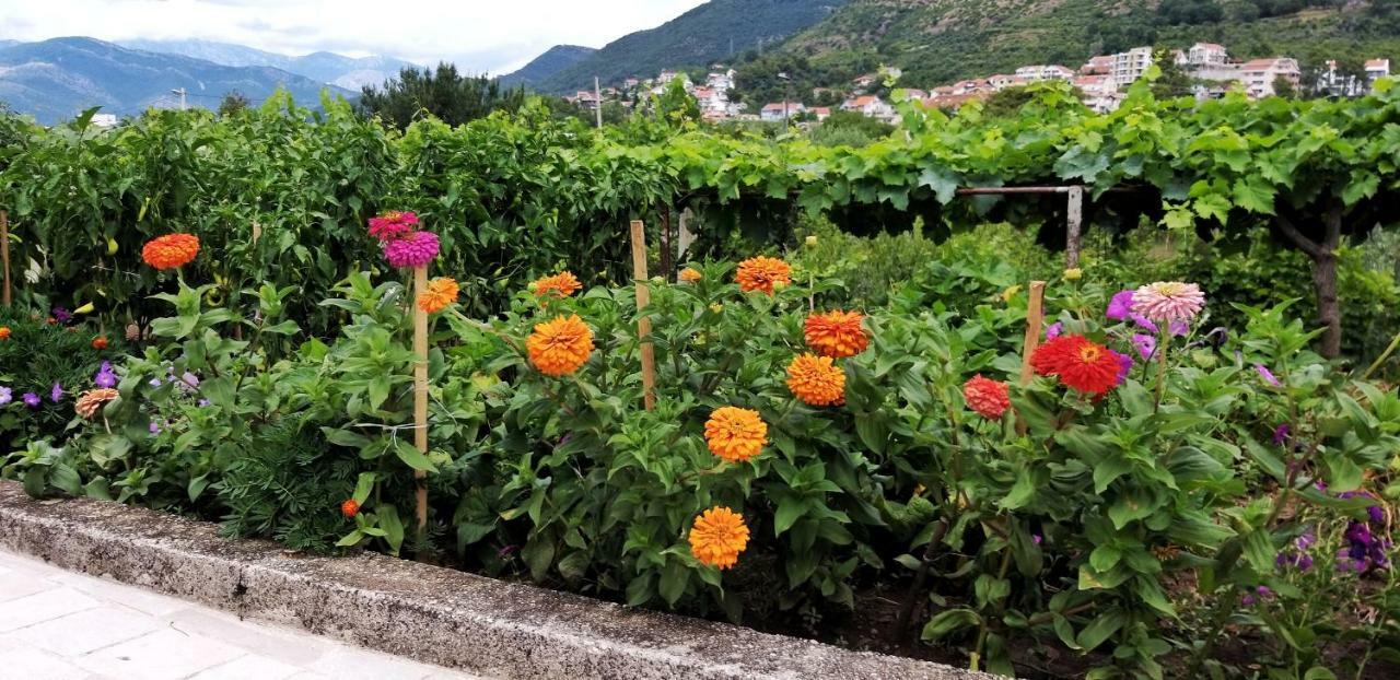 Petivat Gardens Appartement Buitenkant foto